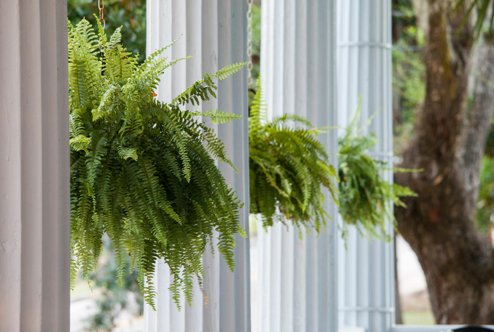 Bed and Breakfast Rhett House Beaufort Exterior foto